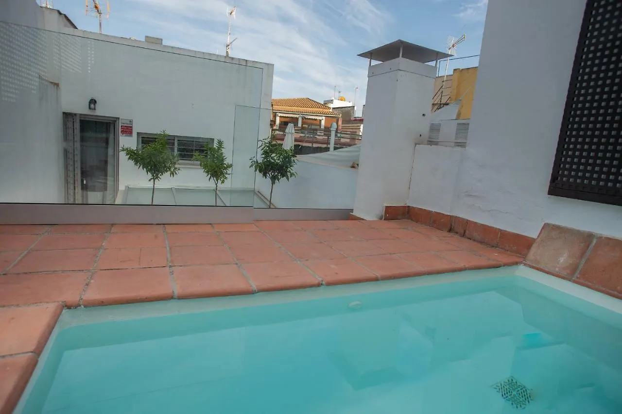 Tatil Evi Casas De Sevilla - Casa Sevillana Harinas26